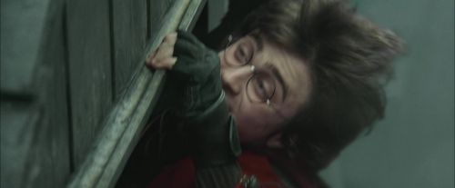 CdF-Potterish_3904.jpg