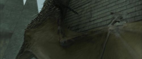 Click to view full size image
==============
CdF-Potterish_3906.jpg CdF-Potterish_3906.jpg