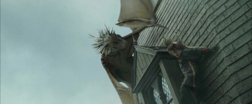 Click to view full size image
==============
CdF-Potterish_3916.jpg CdF-Potterish_3916.jpg