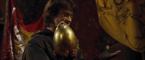 CdF-Potterish_4033.jpg