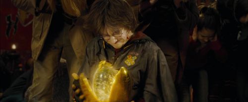 Click to view full size image
==============
CdF-Potterish_4042.jpg CdF-Potterish_4042.jpg