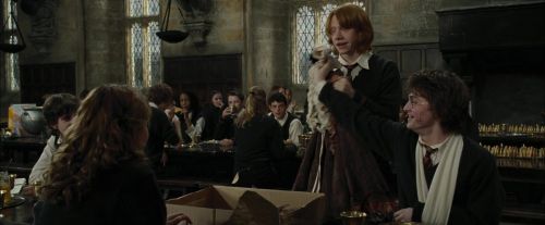 Click to view full size image
==============
CdF-Potterish_4233.jpg CdF-Potterish_4233.jpg