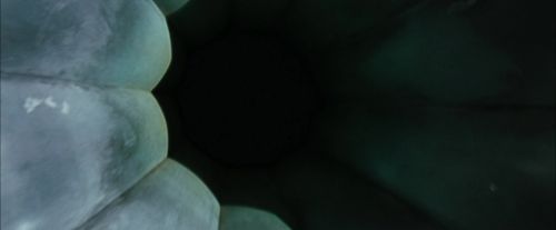 CdF-Potterish_4253.jpg