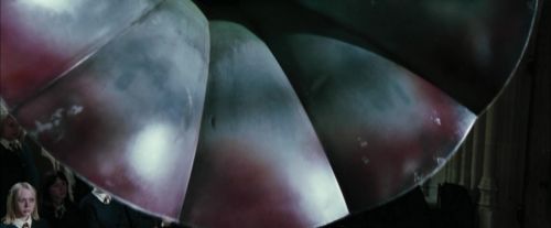 CdF-Potterish_4255.jpg