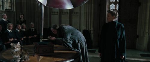 CdF-Potterish_4259.jpg