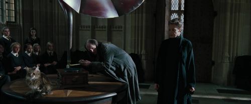 CdF-Potterish_4260.jpg