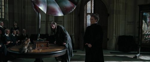 Click to view full size image
==============
CdF-Potterish_4262.jpg CdF-Potterish_4262.jpg