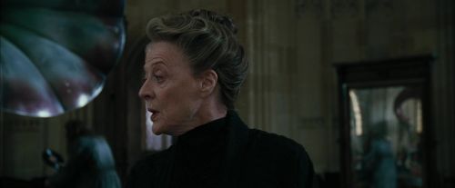 CdF-Potterish_4282.jpg