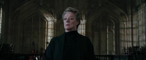CdF-Potterish_4302.jpg