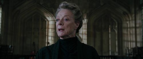 CdF-Potterish_4314.jpg