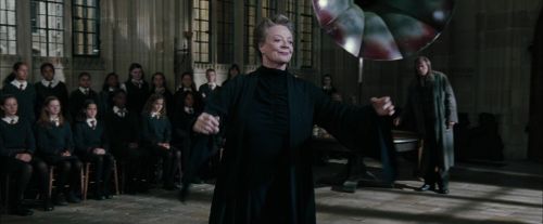 CdF-Potterish_4342.jpg