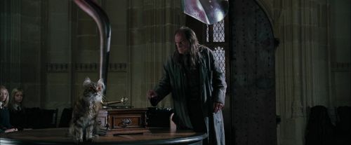 CdF-Potterish_4365.jpg