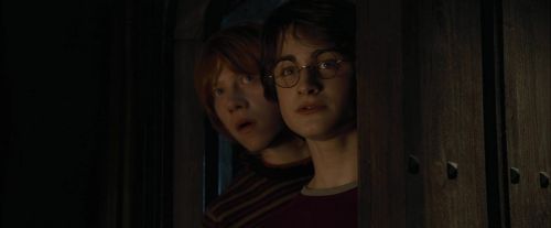CdF-Potterish_4396.jpg