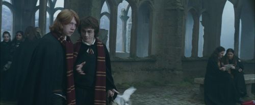 CdF-Potterish_4410.jpg