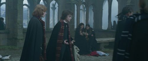 CdF-Potterish_4413.jpg