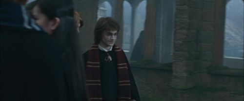 CdF-Potterish_4422.jpg