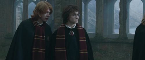 Click to view full size image
==============
CdF-Potterish_4424.jpg CdF-Potterish_4424.jpg