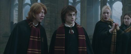 CdF-Potterish_4425.jpg