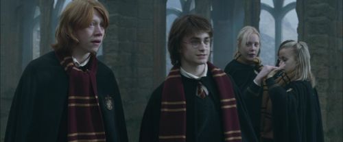 CdF-Potterish_4426.jpg