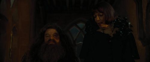 CdF-Potterish_4443.jpg