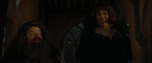 CdF-Potterish_4444.jpg