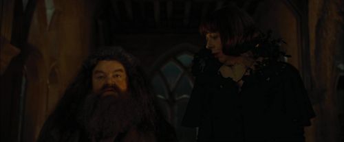 CdF-Potterish_4445.jpg