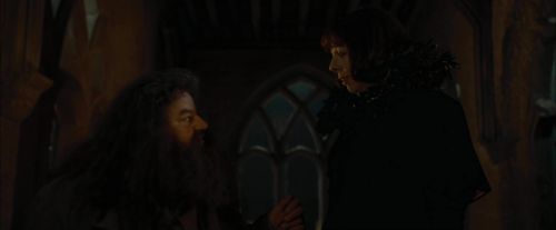 Click to view full size image
==============
CdF-Potterish_4446.jpg CdF-Potterish_4446.jpg