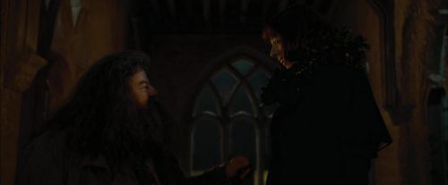 CdF-Potterish_4447.jpg