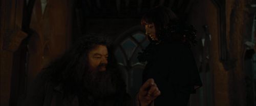 CdF-Potterish_4448.jpg
