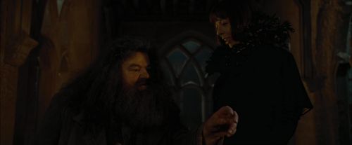 CdF-Potterish_4449.jpg