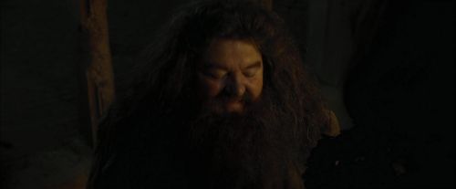 CdF-Potterish_4456.jpg