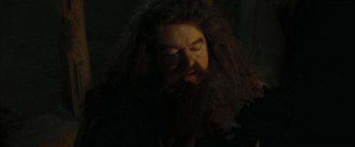 CdF-Potterish_4458.jpg