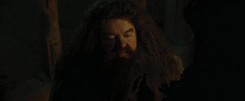 CdF-Potterish_4459.jpg