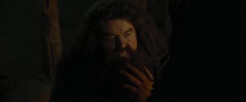 CdF-Potterish_4460.jpg