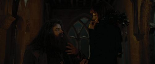 CdF-Potterish_4464.jpg