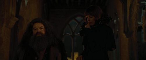 CdF-Potterish_4467.jpg