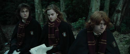 Click to view full size image
==============
CdF-Potterish_4485.jpg CdF-Potterish_4485.jpg