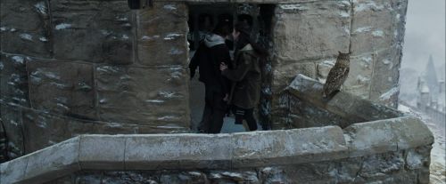 Click to view full size image
==============
CdF-Potterish_4627.jpg CdF-Potterish_4627.jpg
