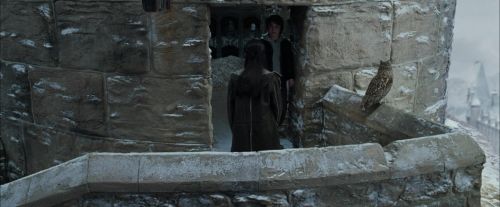 Click to view full size image
==============
CdF-Potterish_4629.jpg CdF-Potterish_4629.jpg