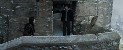 CdF-Potterish_4666.jpg