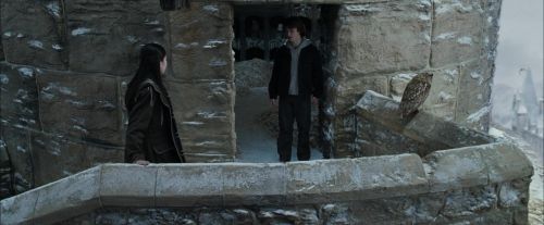 Click to view full size image
==============
CdF-Potterish_4667.jpg CdF-Potterish_4667.jpg