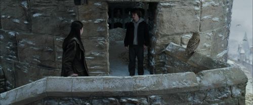 Click to view full size image
==============
CdF-Potterish_4668.jpg CdF-Potterish_4668.jpg
