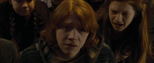 Click to view full size image
==============
CdF-Potterish_4735.jpg CdF-Potterish_4735.jpg