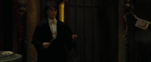 CdF-Potterish_4795.jpg