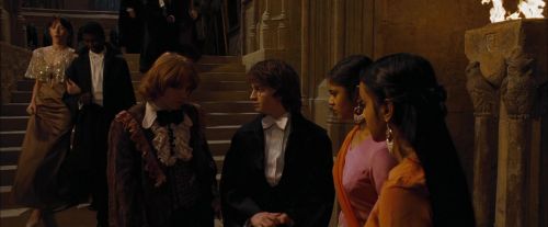 Click to view full size image
==============
CdF-Potterish_4853.jpg CdF-Potterish_4853.jpg