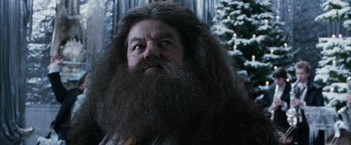 Click to view full size image
==============
CdF-Potterish_5043.jpg CdF-Potterish_5043.jpg
