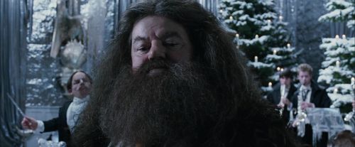 Click to view full size image
==============
CdF-Potterish_5044.jpg CdF-Potterish_5044.jpg