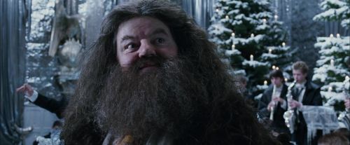 CdF-Potterish_5048.jpg