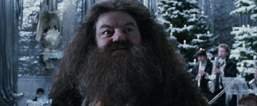 CdF-Potterish_5049.jpg