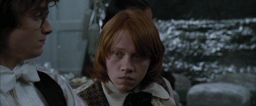 Click to view full size image
==============
CdF-Potterish_5154.jpg CdF-Potterish_5154.jpg